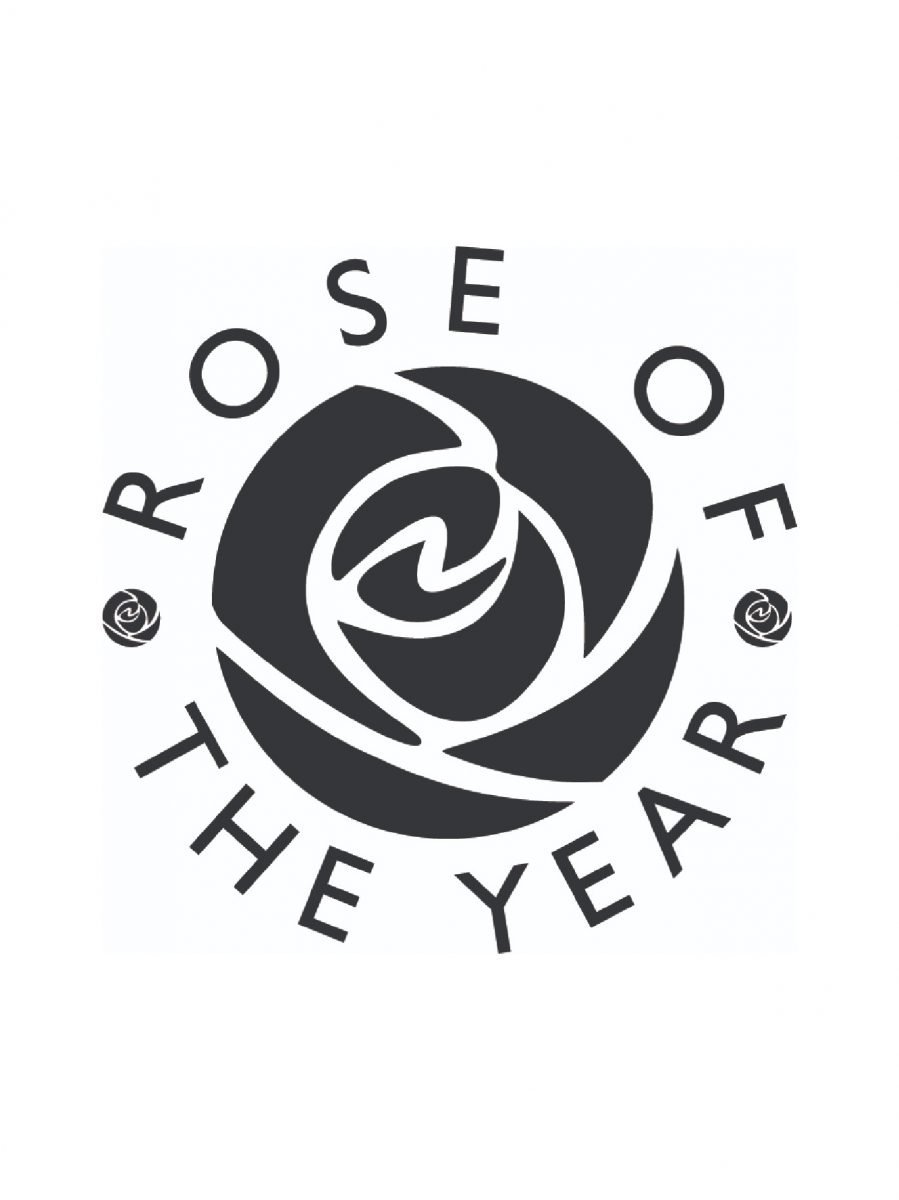 Rose of the Year