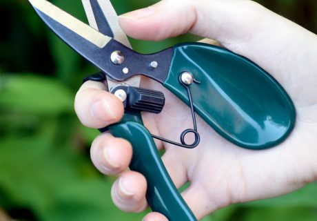 Rose Pruner - RHS Endorsed Handheld Snippers Rose Pruner - RHS Endorsed Handheld Snippers Image