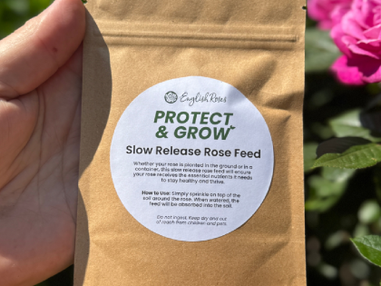 Premium Slow Release Rose Feed Sachet - English Roses Protect & Grow Premium Slow Release Rose Feed Sachet - English Roses Protect & Grow Image