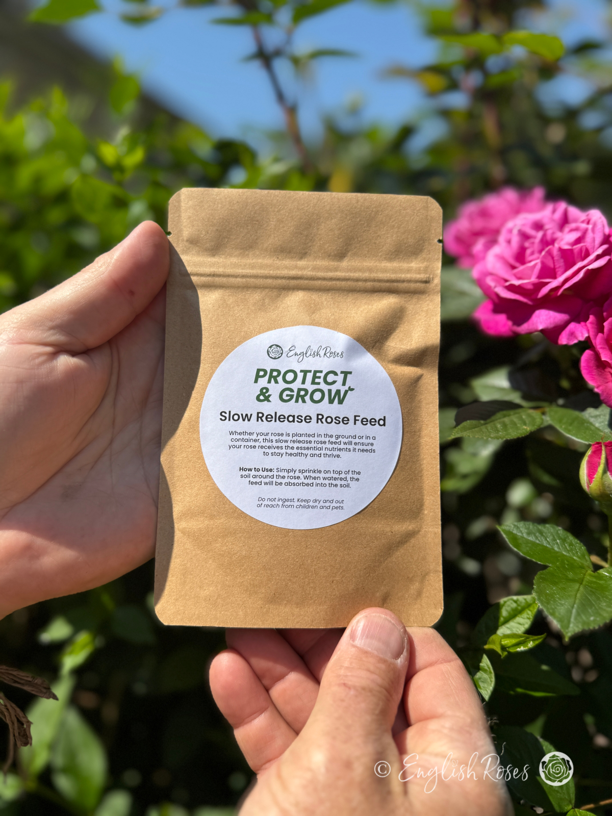 Rose Repotting Kit - English Roses Eco Garden Planter