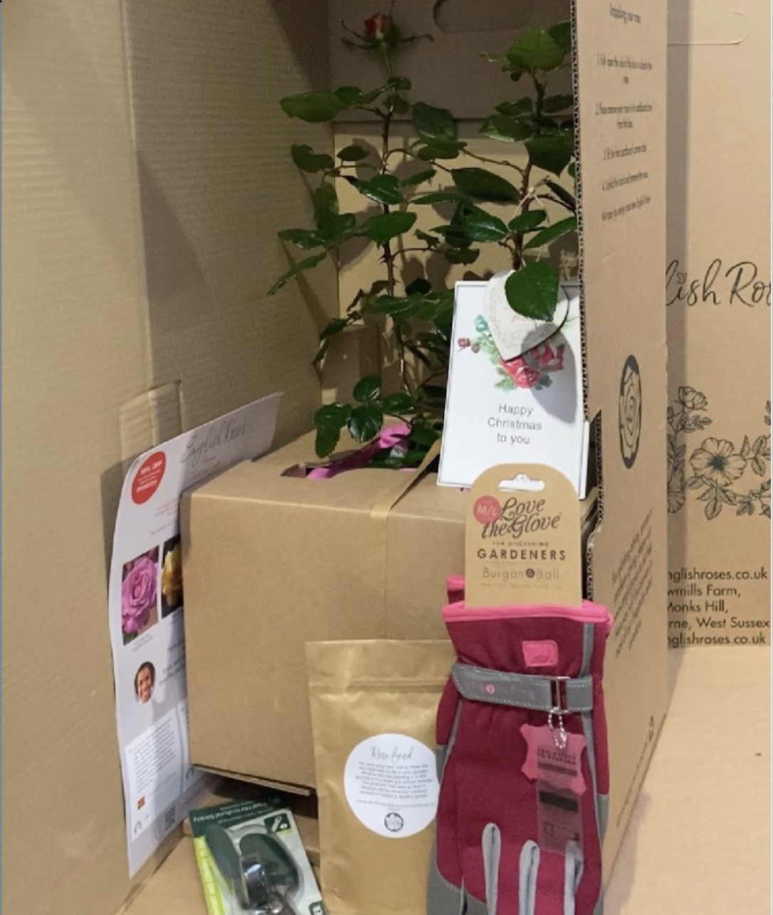 Rose gift package