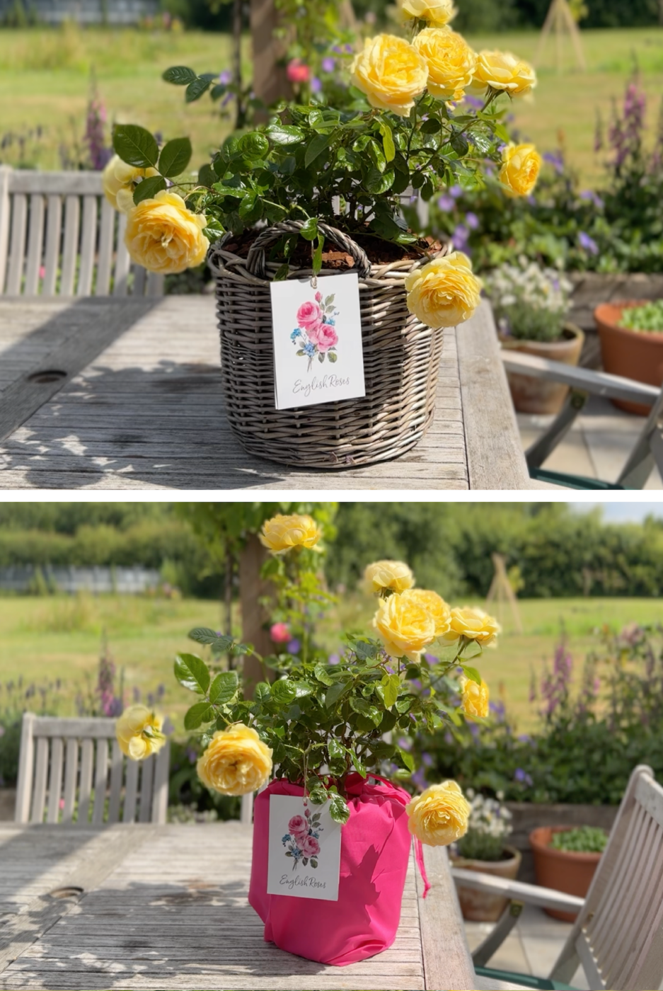 Updated Gift Label Photos