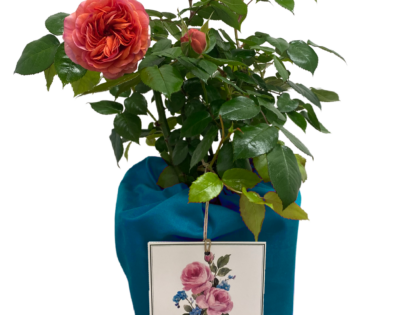 Teal Cotton Drawstring Gift Bag Teal Cotton Drawstring Gift Bag Image