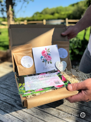 English Roses Father's Day Letterbox gift 1 Rose A father holding the letterbox gift