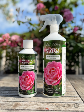 Rose Foliar Feed Spray English Roses Protect & Grow Main Image