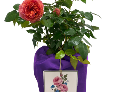 Rich Purple Cotton Drawstring Gift Bag Rich Purple Cotton Drawstring Gift Bag Image