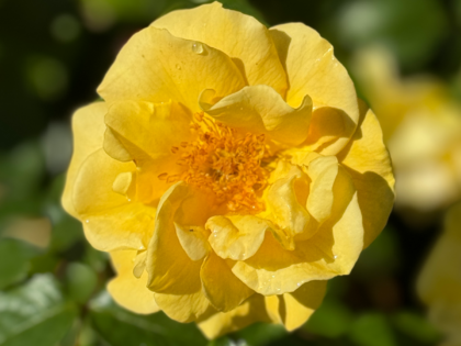 Forever Loved Gift Forever Loved Gift Image