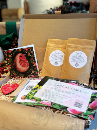 English Roses Christmas Letterbox Gift Single Rose Gift Box with a greetings card with gift code, help guides, rose feed, rose granules and gift tags.