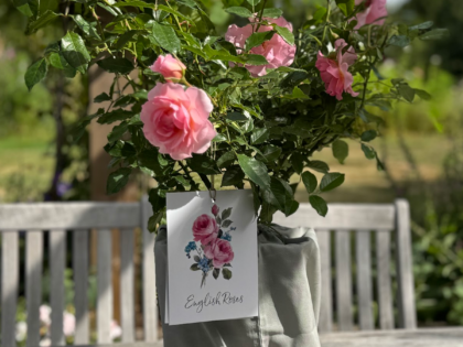 Grey Cotton Drawstring Gift Bag Grey Cotton Drawstring Gift Bag Image