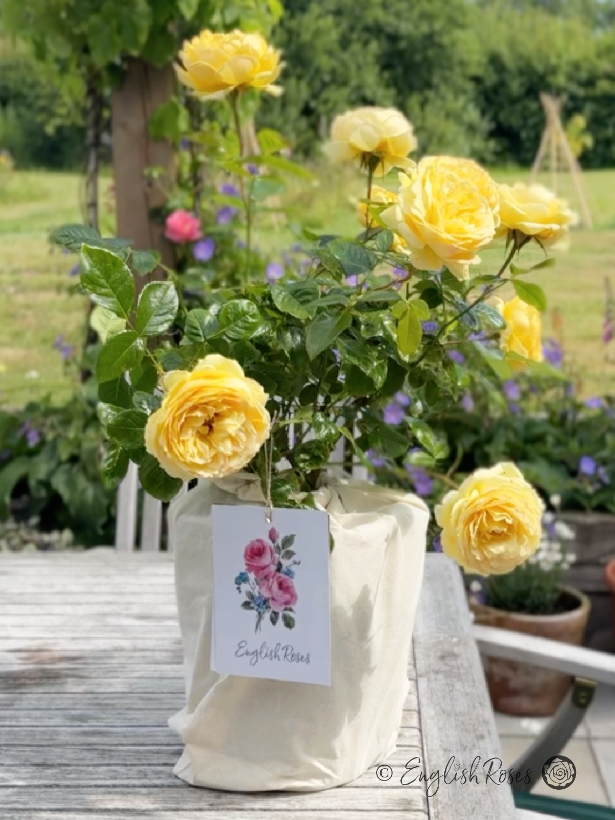 English Roses Cotton Gift Bag Natural