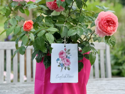 Pink Cotton Drawstring Gift Bag Image