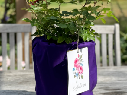 Rich Purple Cotton Drawstring Gift Bag Rich Purple Cotton Drawstring Gift Bag Image