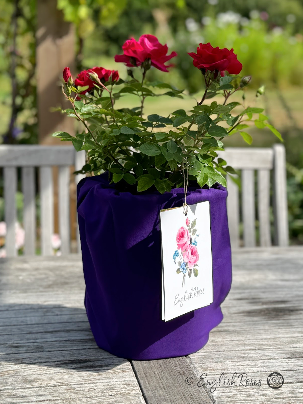 English Roses Cotton Gift Bag Purple