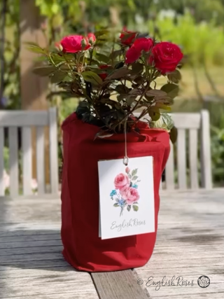 English Roses Cotton Gift Bag Red
