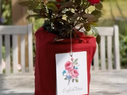 Red Cotton Drawstring Gift Bag Red Cotton Drawstring Gift Bag Image