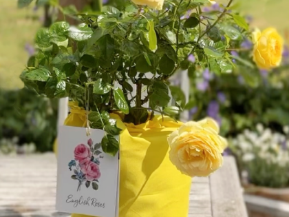 Springtime Yellow Cotton Drawstring Gift Bag Springtime Yellow Cotton Drawstring Gift Bag Image