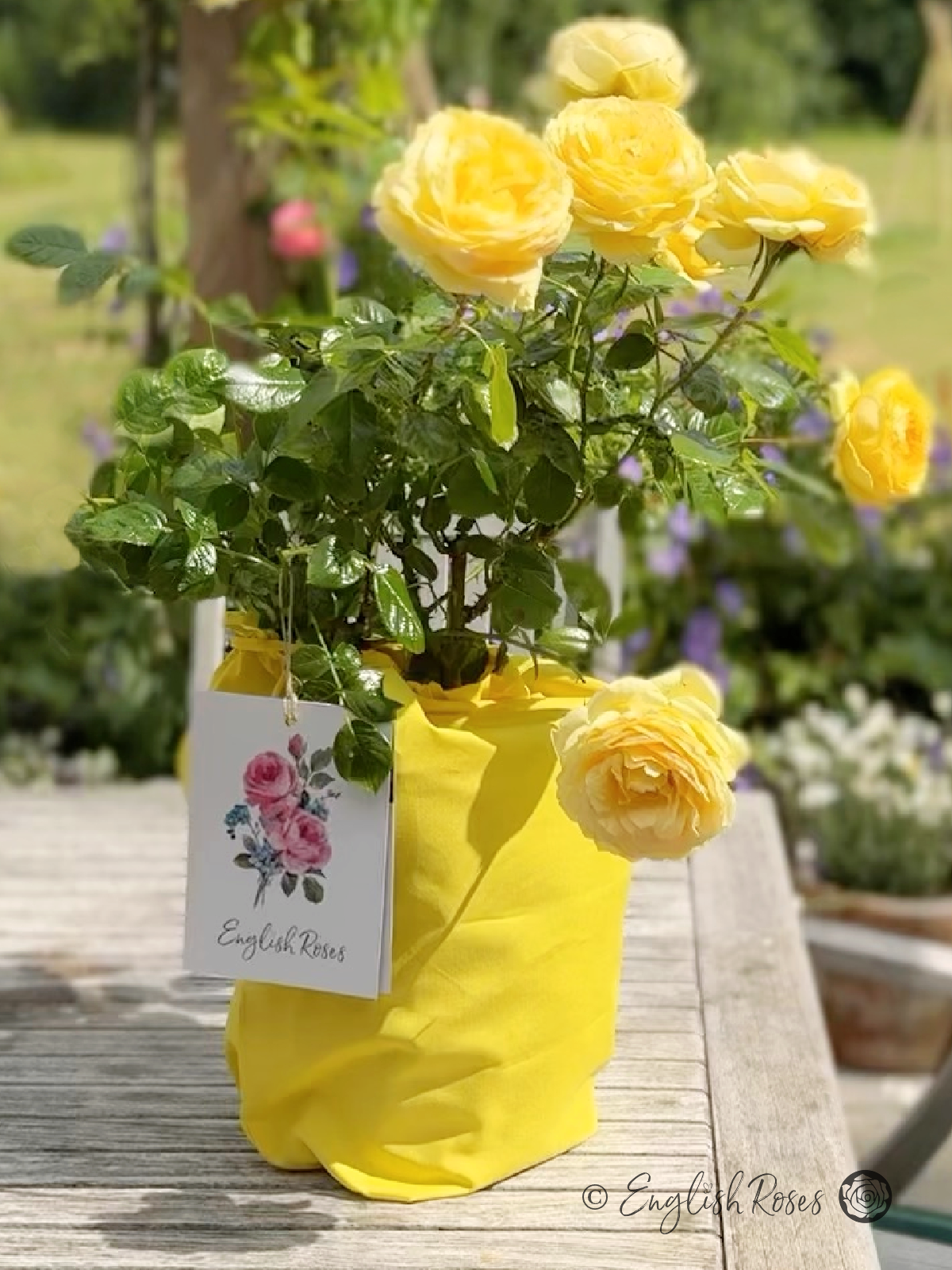English Roses Cotton Gift Bag Yellow