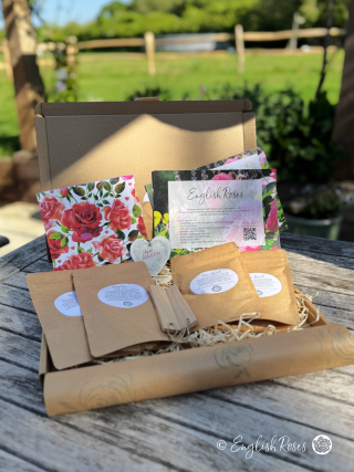 English Roses Father's Day Letterbox gift 2 Rose gift