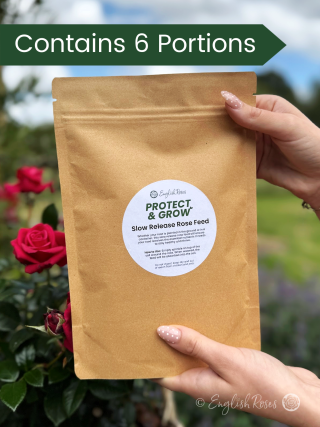 English Roses Protect & Grow Large Rose Feed Sachet
