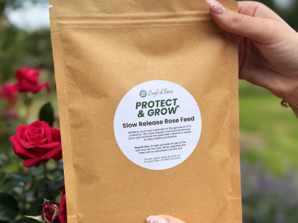 Premium Slow Release Rose Feed Sachet - Large Pack - English Roses Protect & Grow Premium Slow Release Rose Feed Sachet - Large Pack - English Roses Protect & Grow Image