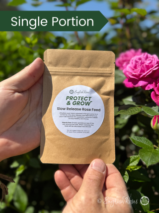 English Roses Protect & Grow Single Rose Feed Sachet