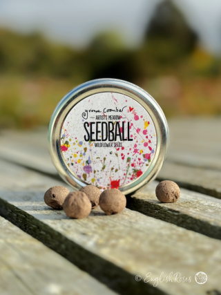 Artist's Meadow Mix – Wildflower Seedball Tin 1 - Eco-friendly companion planting