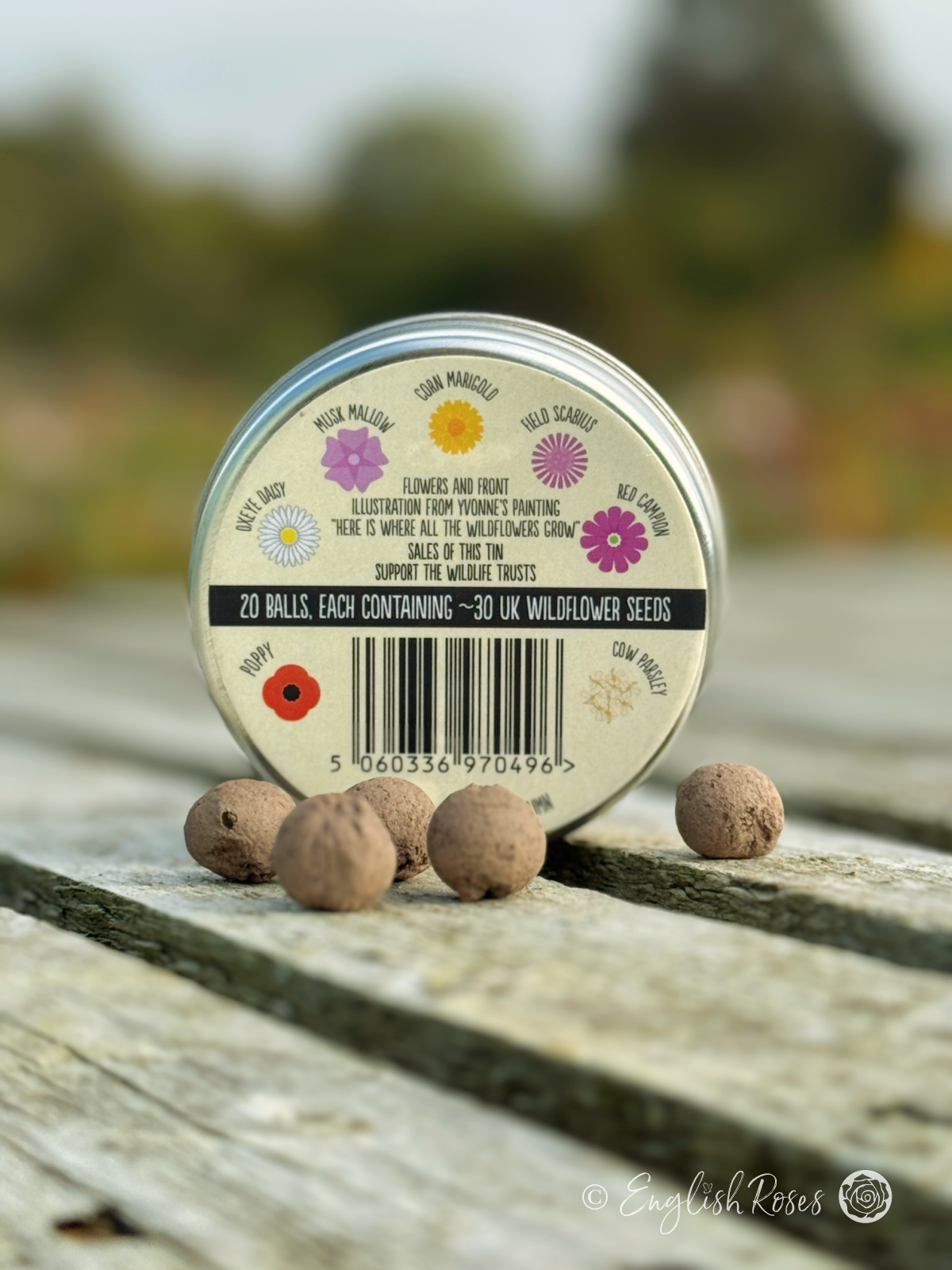 Artist's Meadow Mix – Wildflower Seedball Tin 3 - Back of the tin. Contains poppy, ox eye daisy, musk mallow, corn mallow, field scabius, red campion, cow parsley