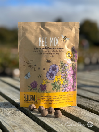 Bee Mix - Wildflower Seedball bag - Eco-friendly native wildflowers to attract bees