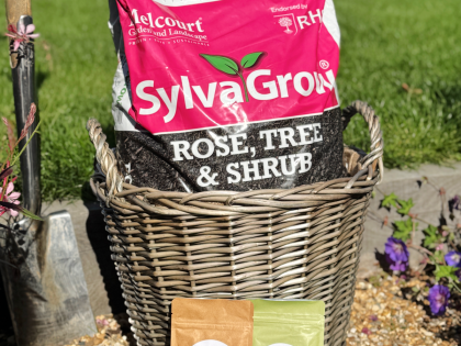 Rose Repotting Kit - English Roses Eco Garden Planter Rose Repotting Kit - English Roses Eco Garden Planter Image