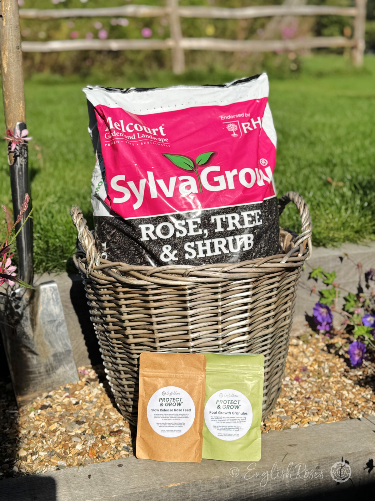 English Roses Re-potting Set - Peat-free compost, Large eco willow planter, rose feed and root growth granules