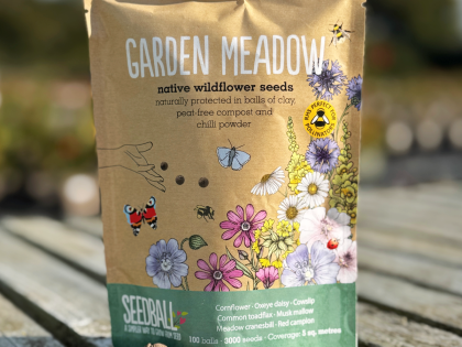 Garden Meadow Mix - Wildflower Seedball Bag Garden Meadow Mix - Wildflower Seedball Bag Image