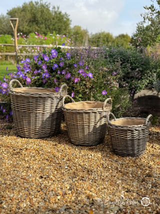 Willow Basket Planters All Sizes - A set of three eco-friendly willow basket planters in a sunny garden.