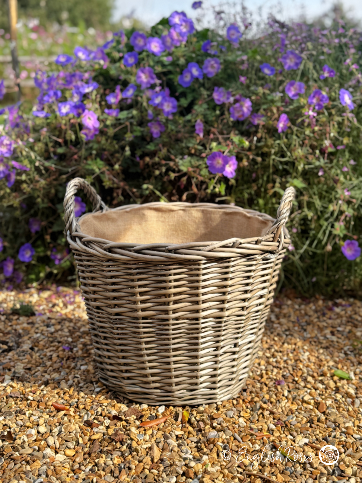 Willow Basket Planters Extra Large XL2 - Eco planter for roses