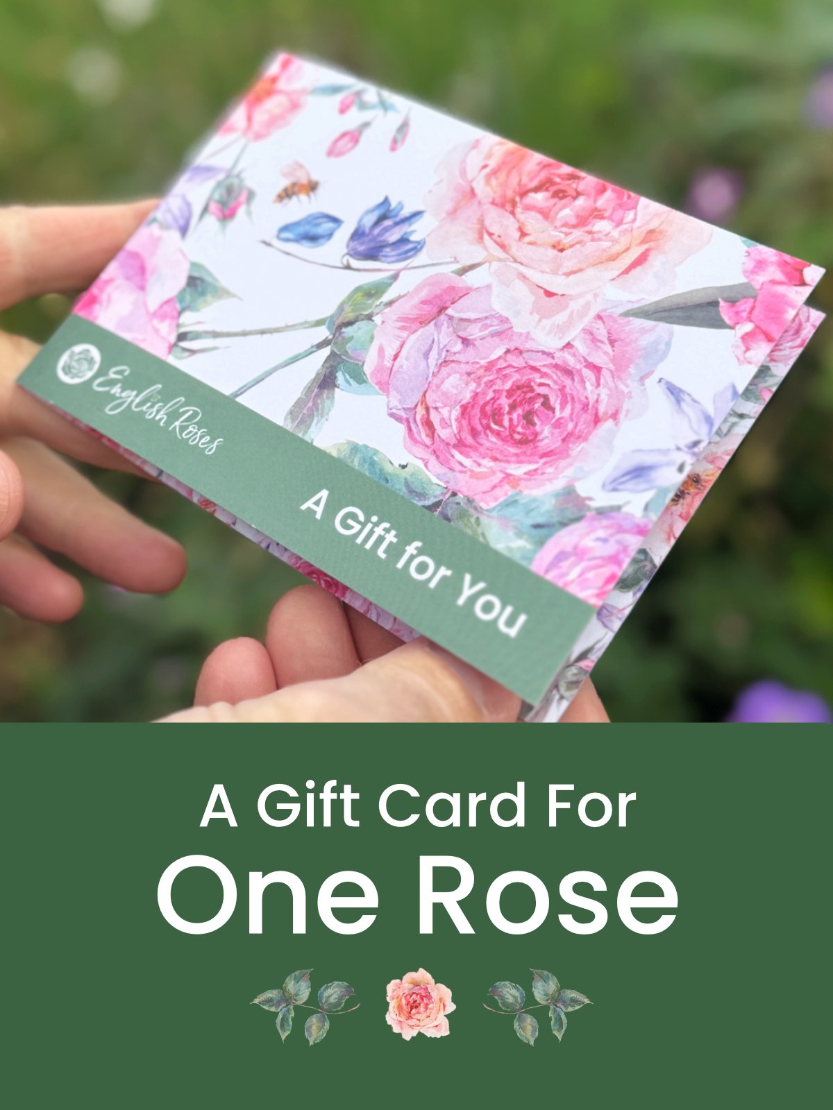 One Rose Gift Card - English Roses Gift Voucher