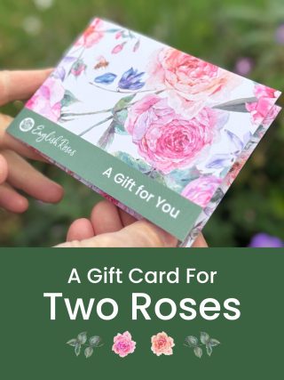 Two Roses Gift Card - English Roses Gift Voucher