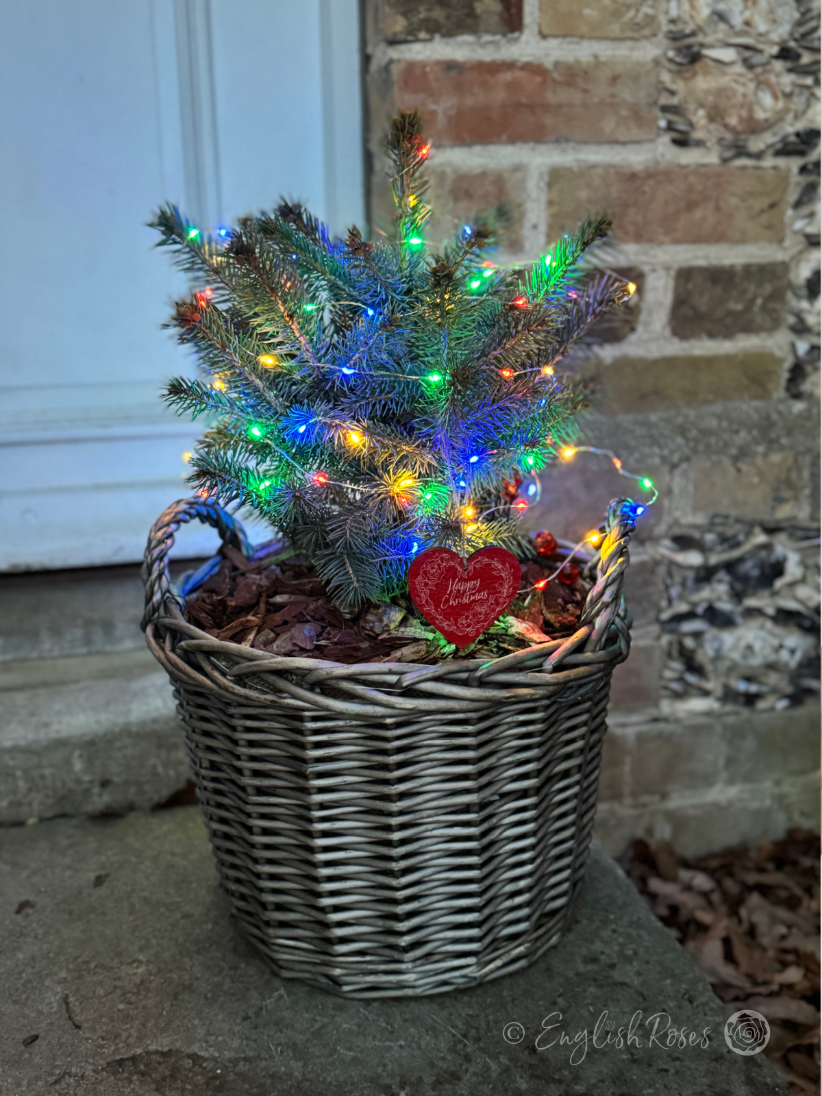 English Roses Christmas Tree - decorated tree with colourful christmas lights outside