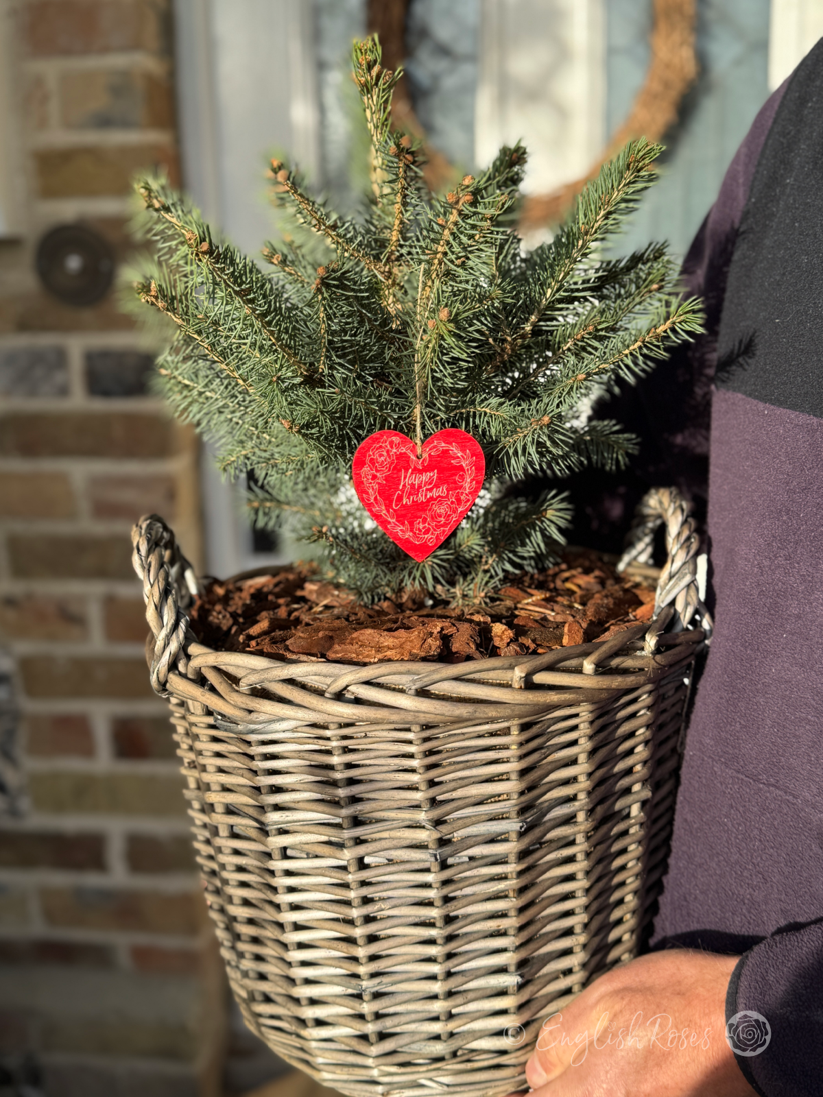 English Roses Christmas Tree - holding the basket outside for scale