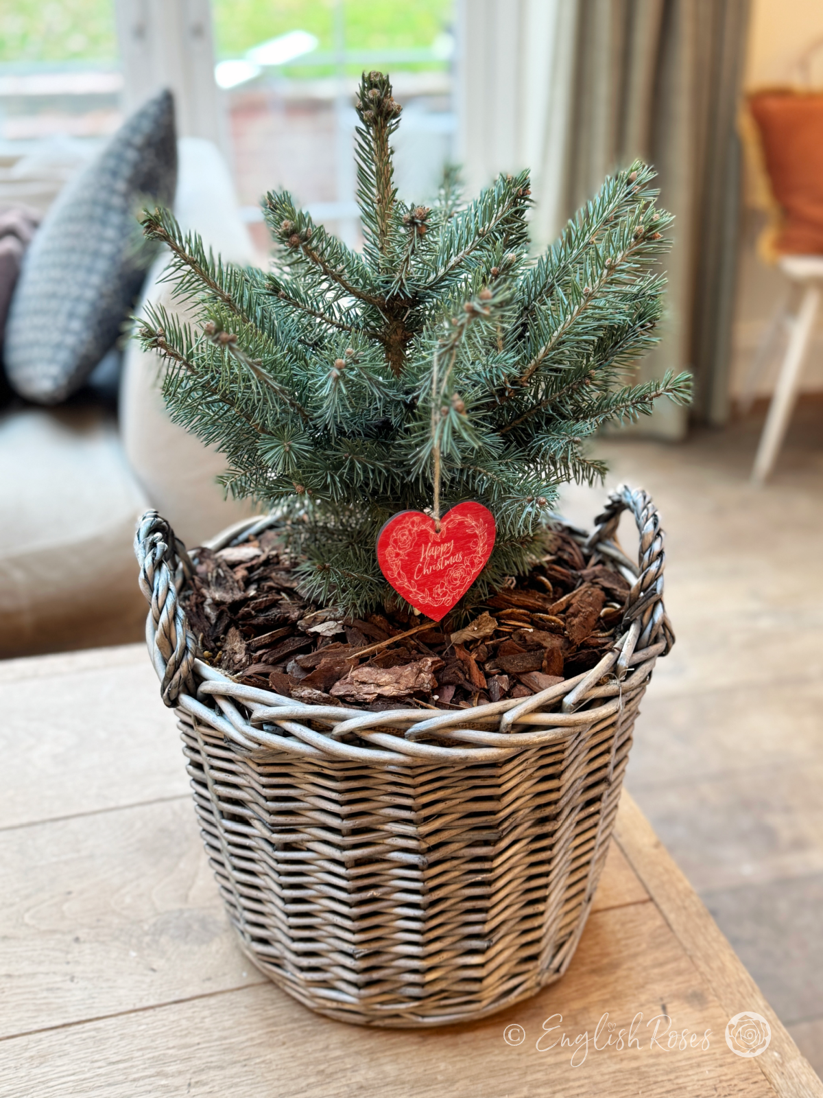 English Roses Christmas Tree - Tree on table indoors