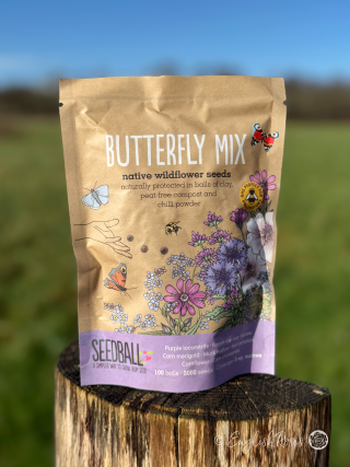 Butterfly Wildflower Seedball Bag Wildflower seeds
