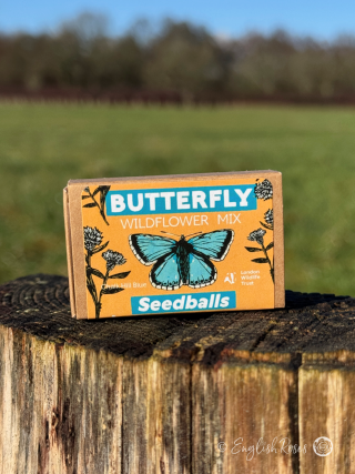 Butterfly Wildflower Seedball Matchbox wildflower seeds