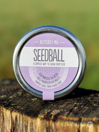 Butterfly Wildflower Seedball Tin