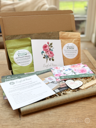 English Roses Letterbox Gift Box - 1 Rose - Sustainable gift containing everything needed to choose and grow a rose of choice