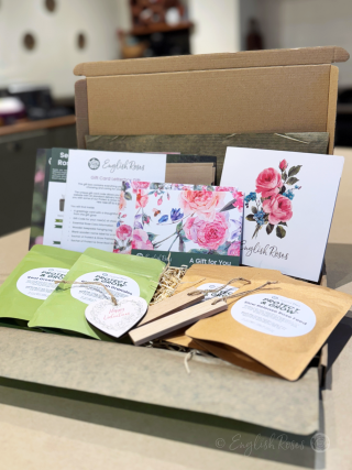 English Roses Letterbox Gift Box - 2 Roses - Sustainable gift containing everything needed to choose and grow a rose of choice