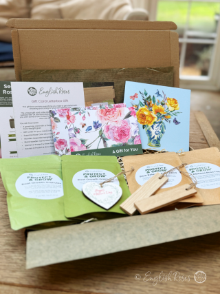 English Roses Mother's Day Gift Box 2 Roses - Sustainable gift idea containing everything needed to choose and grow two roses of choice.