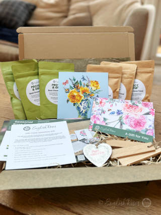 English Roses Mother's Day Gift Box 3 Roses - Sustainable gift idea containing everything needed to choose and grow three roses of choice.