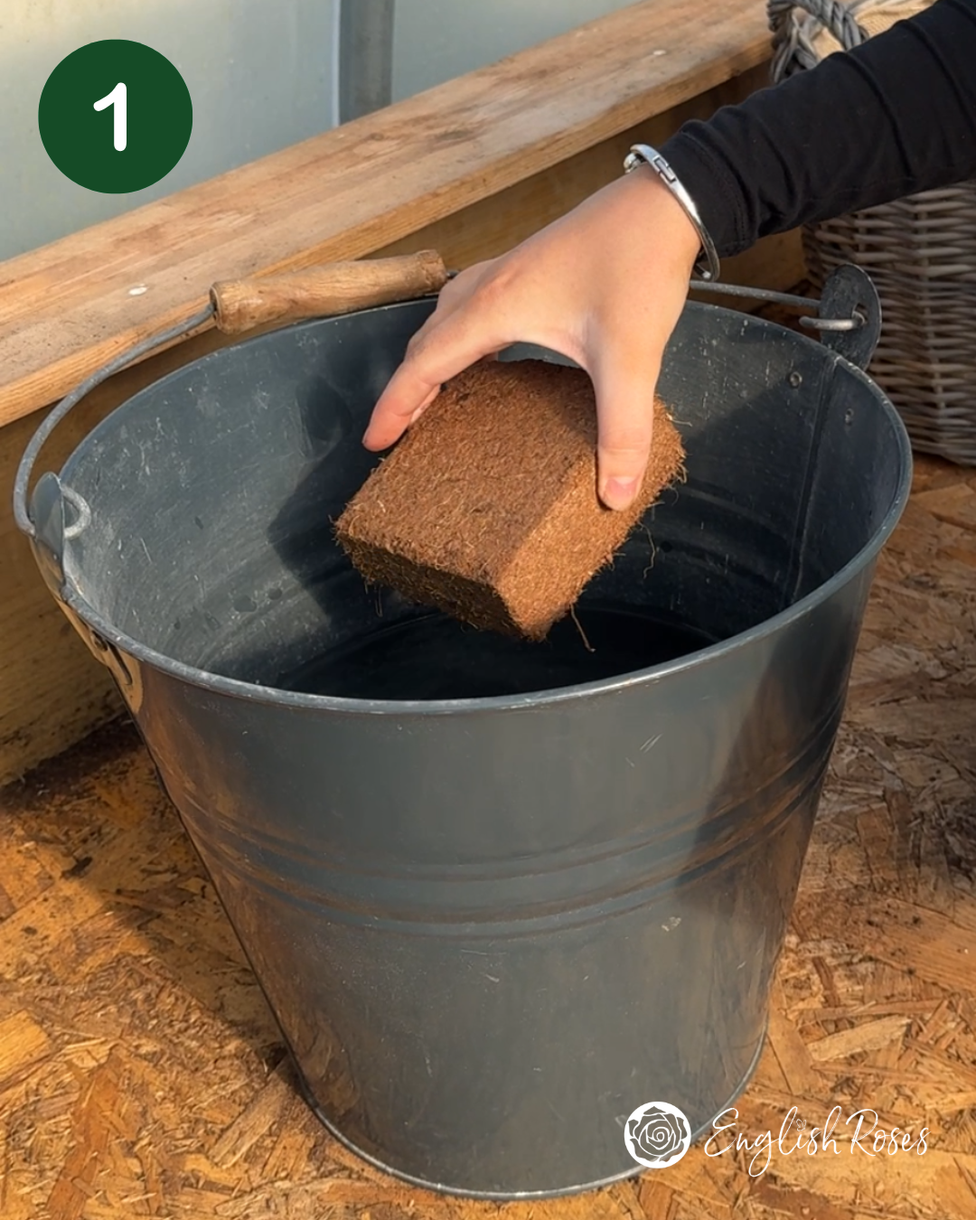 English Roses How to Plant Your Wildflower Basket 1