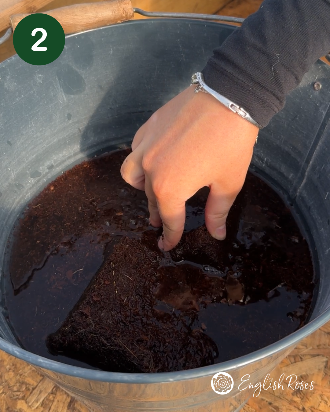 English Roses How to Plant Your Wildflower Basket 2