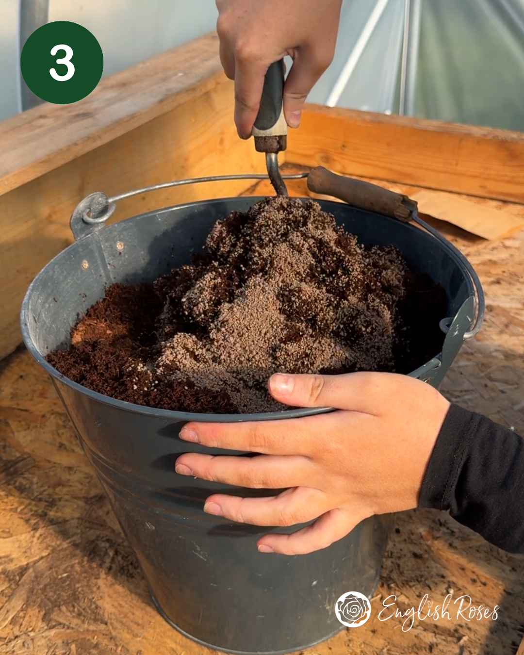 English Roses How to Plant Your Wildflower Basket 3