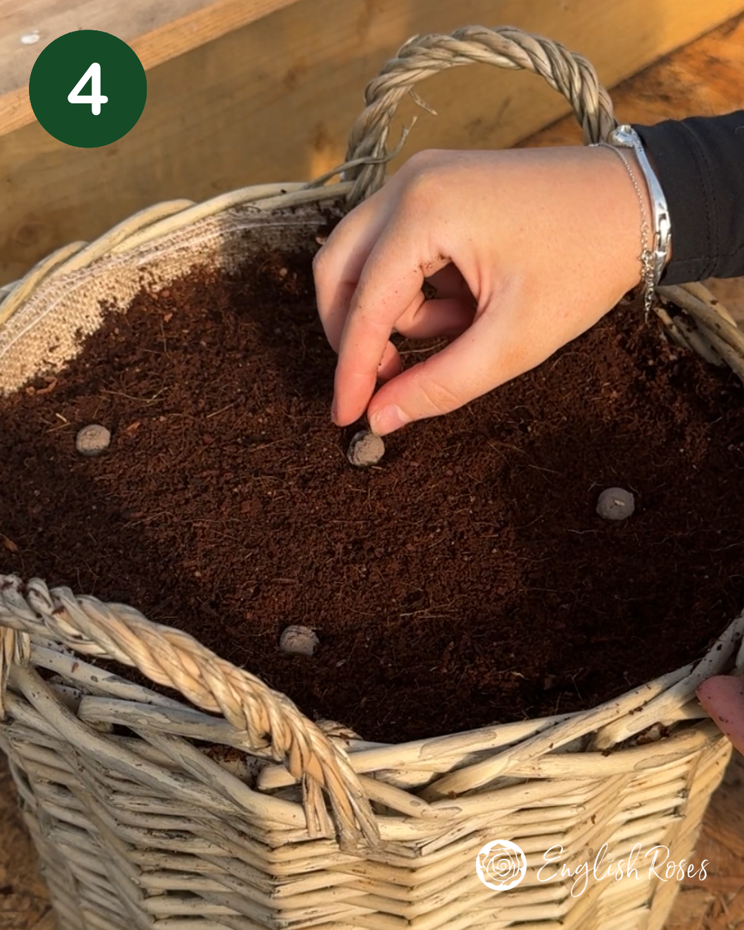 English Roses How to Plant Your Wildflower Basket 4