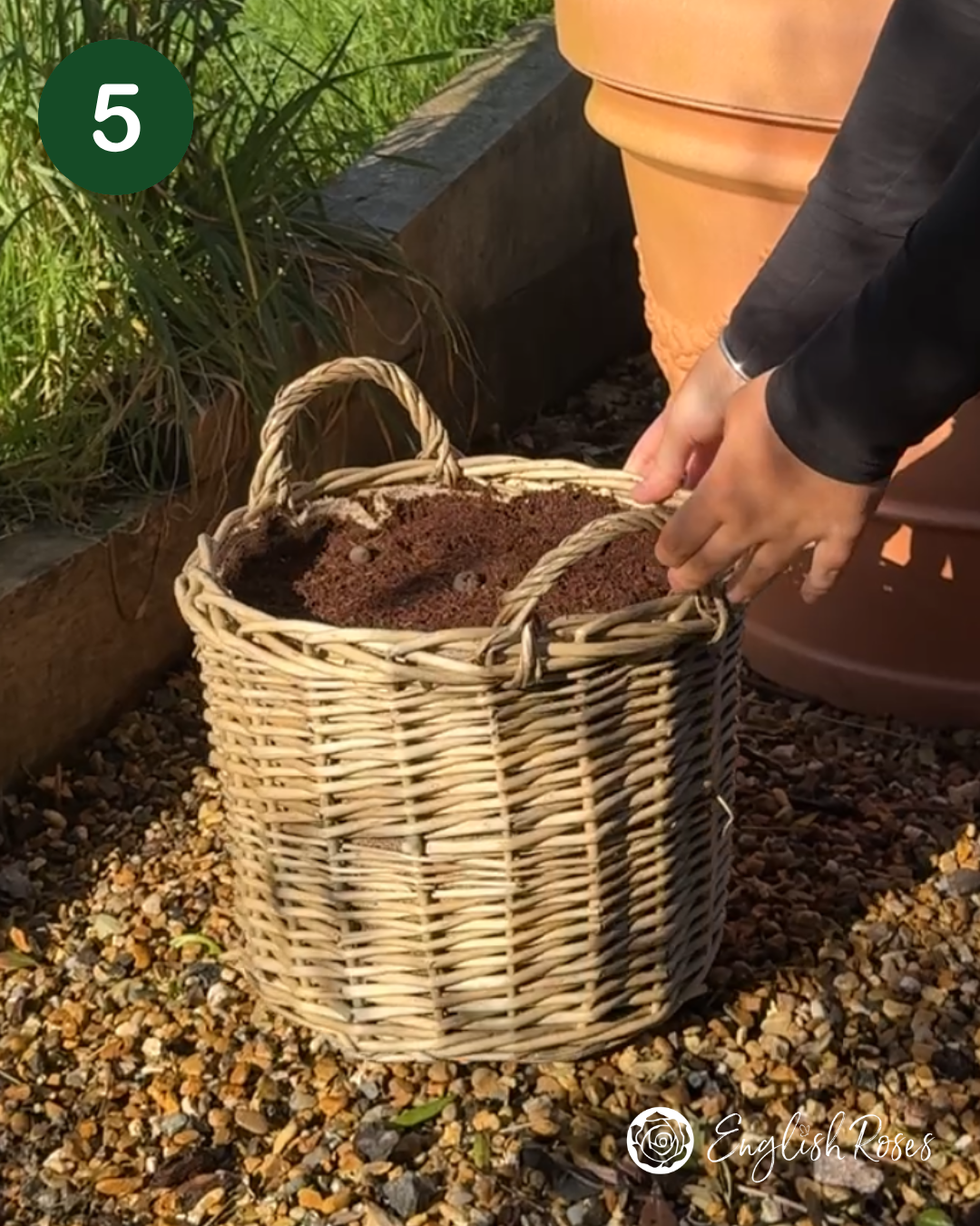 English Roses How to Plant Your Wildflower Basket 5